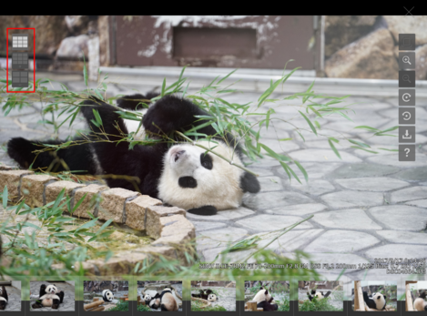 表示数切り替えパネル（パンダ）